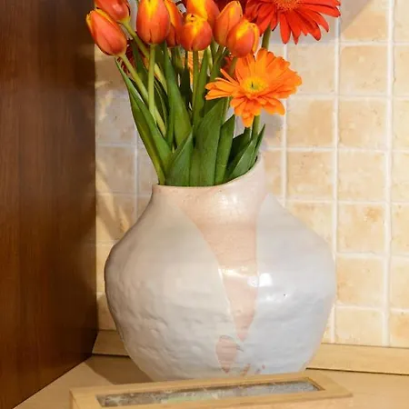 Apartman Le Crete - *