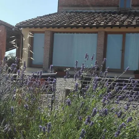 Apartman Le Crete - Asciano